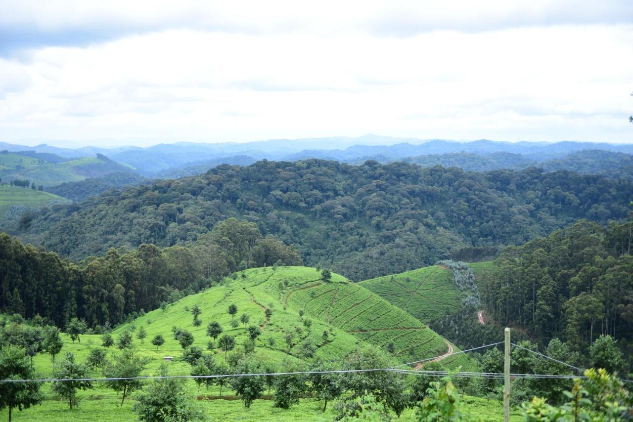 Nyungwe Village Kitabi Exterior foto